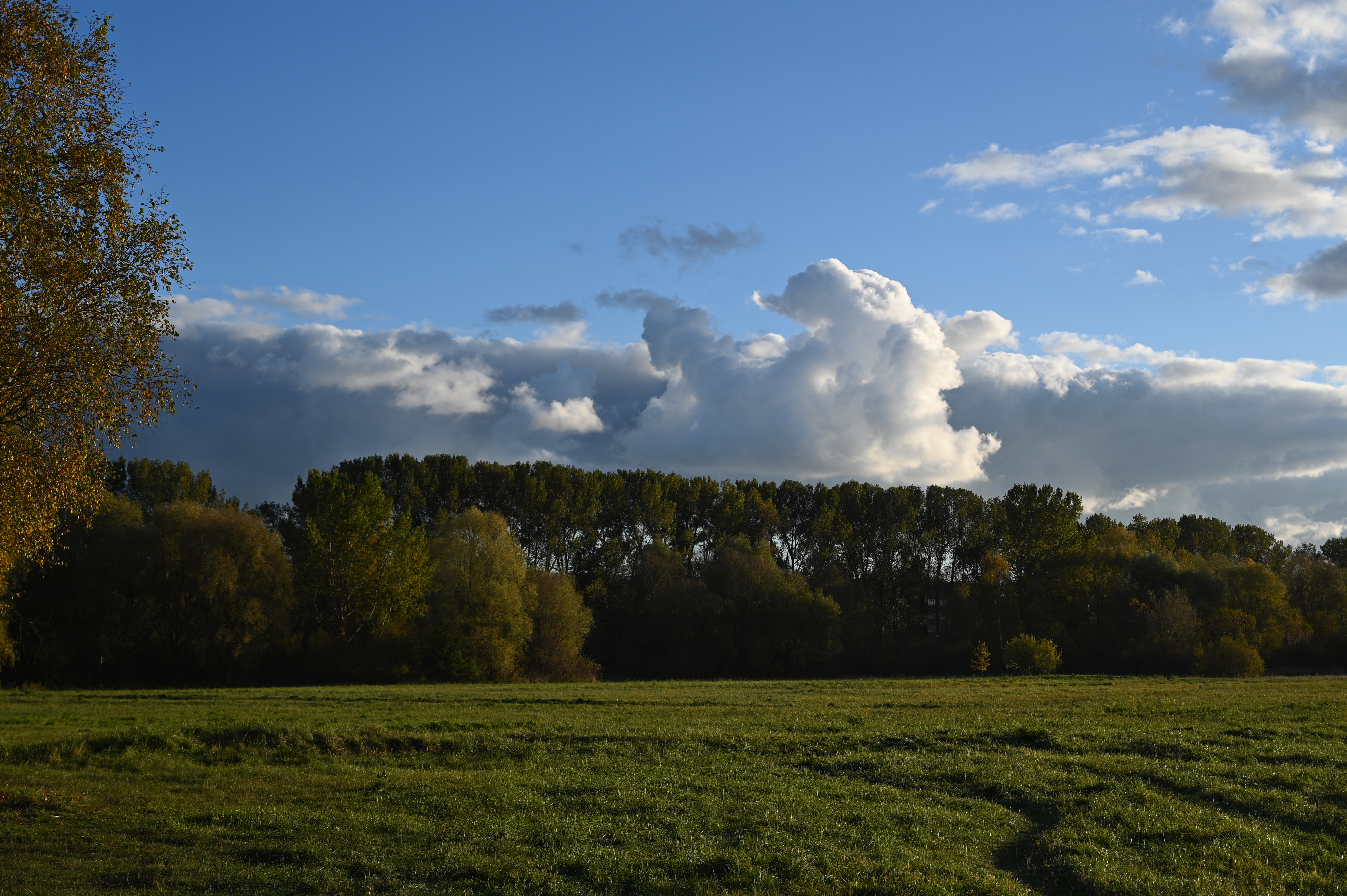 2025/10/18 - walk/DSC_0159.JPG